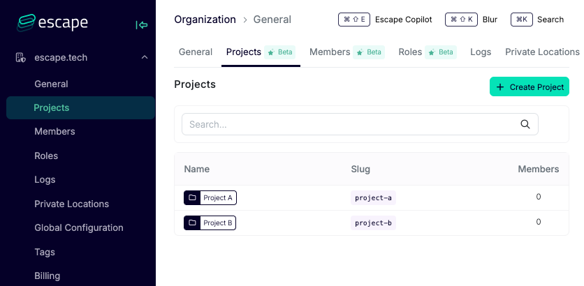 Projects management page