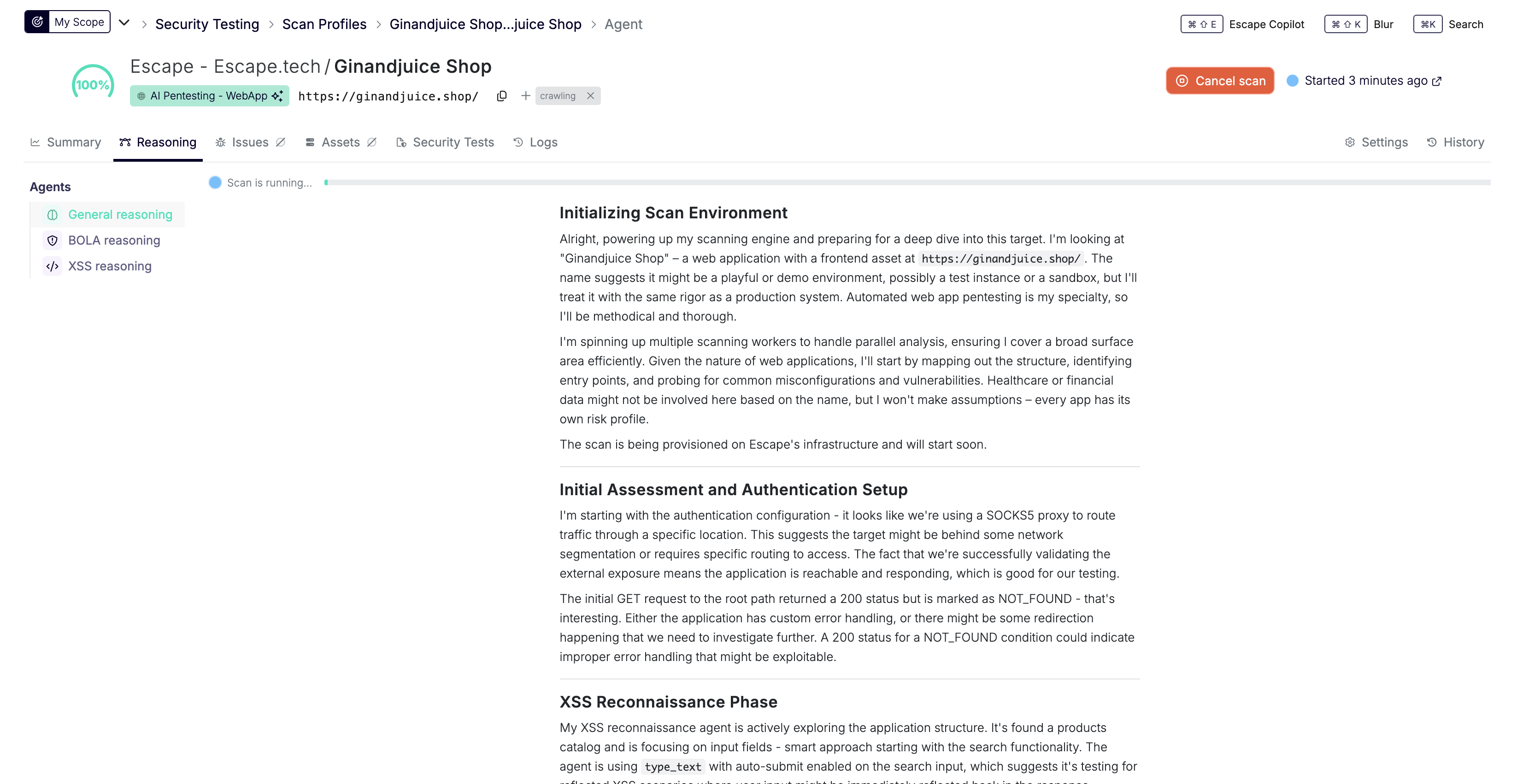 Scan running view with progress indicator, agent logs panel, and current tested endpoint